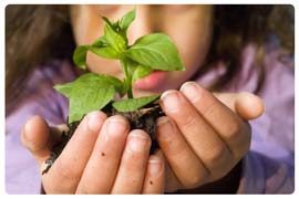 Conservation and Environment Conservation and Environment